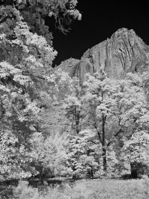 Yosemite-IR5.jpg