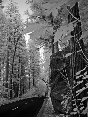 Yosemite-IR8.jpg