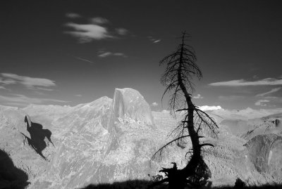 Yosemite-IR13.jpg