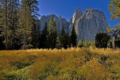 Yosemite-color2.jpg