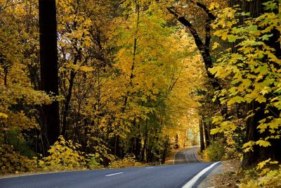 Yosemite-color-20.jpg