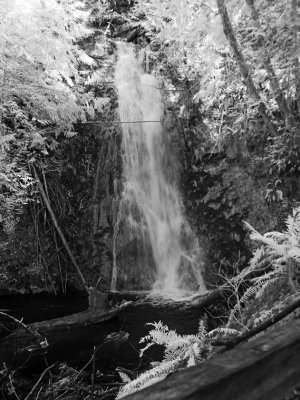 Madison-Creek-Falls1.jpg