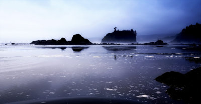 Ruby Beach pano.jpg