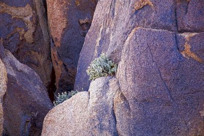 Granite-bouquet-upload.jpg