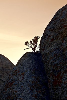 simple-silhouette-upload.jpg