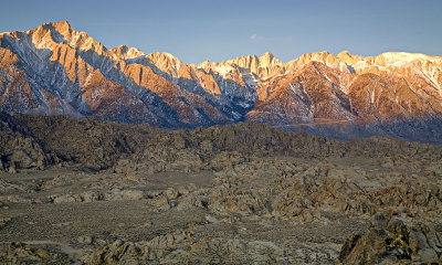 Whitney-dawn1-upload.jpg