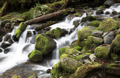 Sol-Duc-2-upload.jpg