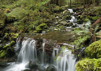Sol-Duc-3-upload.jpg