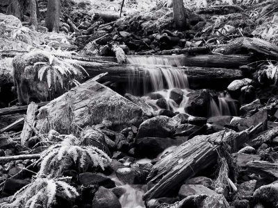Sol-Duc-IR4-upload.jpg