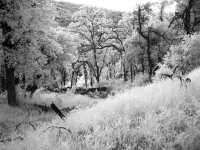 Cherokee-Rd-IR2.jpg