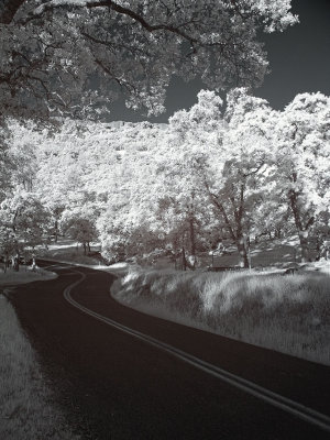 Cherokee-Rd-IR3-upload.jpg