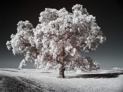Cherokee-Rd-IR4-upload.jpg