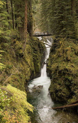 sol-duc-downstream1-upload.jpg