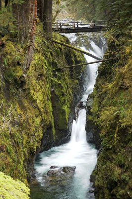 sol-duc-downstream-2-upload.jpg