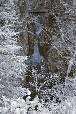 solduc-downstream-ir-1.jpg