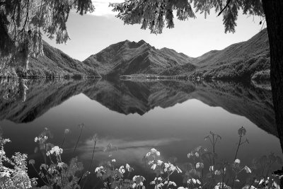 Lake-Crescent-IR-3-upload.jpg