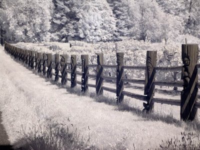 Troll-Road-IR-8-upload.jpg