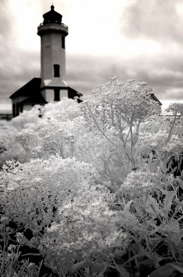 lighthouse-ir-1-upload.jpg