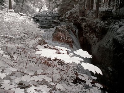 sol-duc-2-ir-glow-upload.jpg