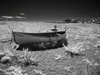 rowboat-IR-1-upload.jpg