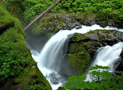 Sol-Duc-4-upload.jpg