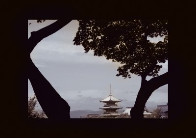 kiyomizudera through trees