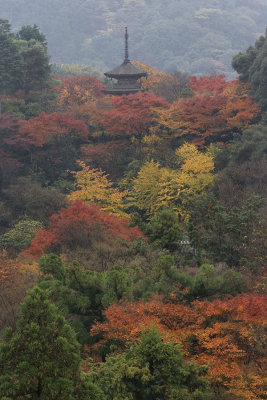 remnants of kouyou