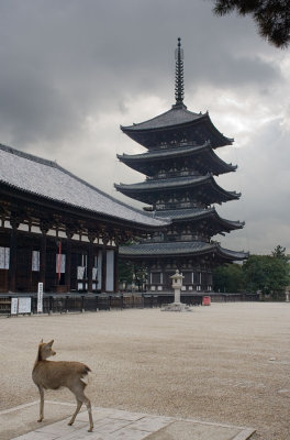 pagoda and deer