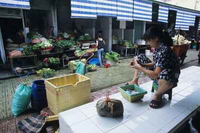 Vietnam