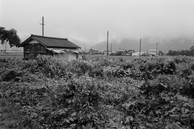 lakehouse in the rain 2