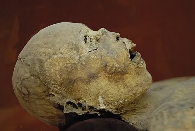 The Mummies of Guanajuato