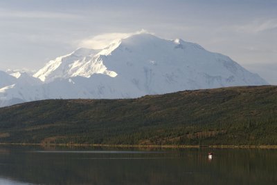 Denali National Park