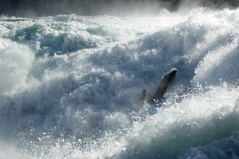 Rheinfall