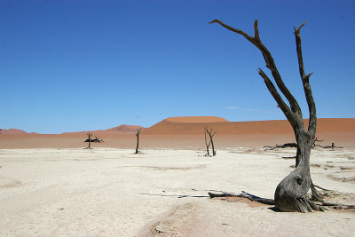 Deadvlei