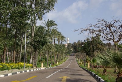 Parc of Montaza Palace
