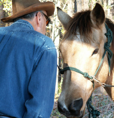 The Horse Whisperer