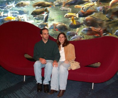 Jason and Stacey - Georgia Aquarium