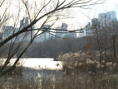 Central Park