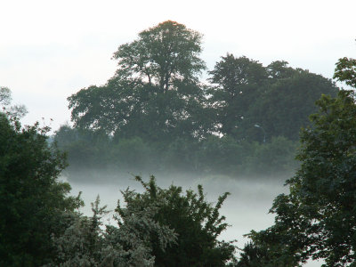 Mist in the field across from us