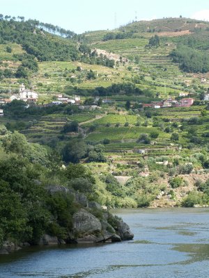 Wonderful views over the River Duro