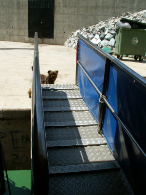 Oh Oh, a visitor about to board our ship