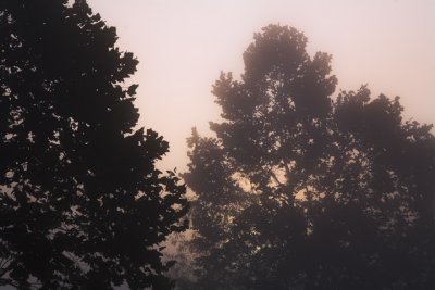 g6/99/353099/3/68700893.1lczjQgd.jpg