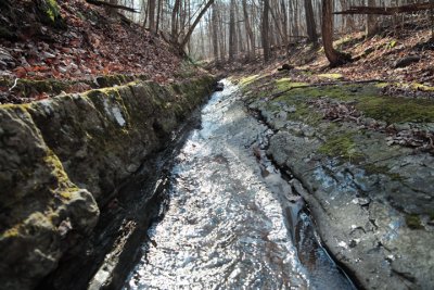 Limestone Stream Bed.jpg