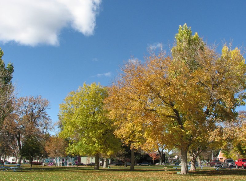 Caldwell Park in Autumn smallfile IMG_1396.jpg