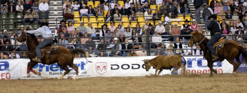 Rodeo 2007 _DSC0489.jpg