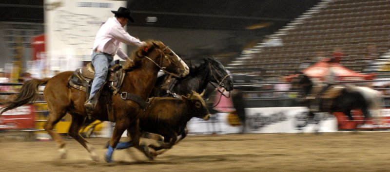 rodeo 2007 _DSC0178.jpg