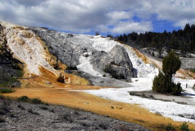 Mammoth Hot Springs Yellowstone _DSC0396.jpg