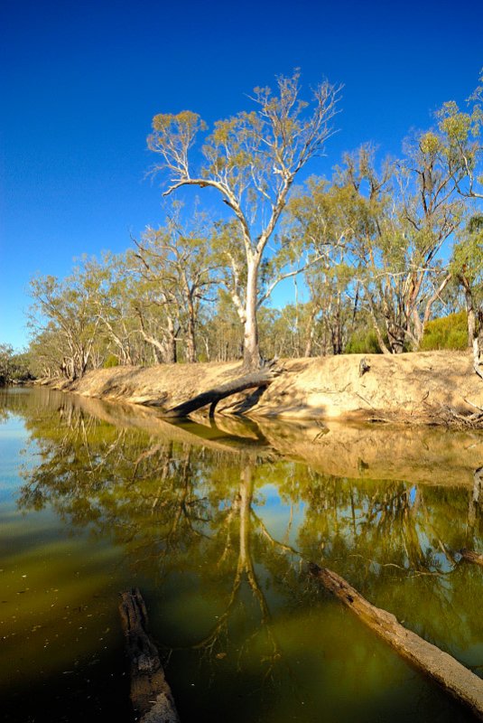 River reflections