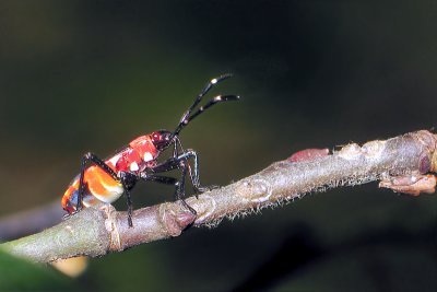 g6/99/380799/3/36920428.HGRteJx2.jpg