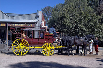 Horses and Carriage